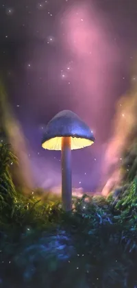 Water Atmosphere Mushroom Live Wallpaper