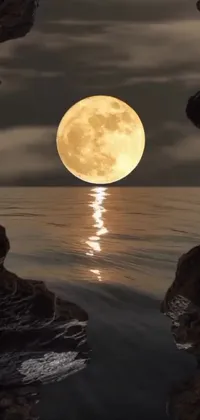 This captivating live wallpaper features a stunning full moon rising over a body of water with a cliffside backdrop