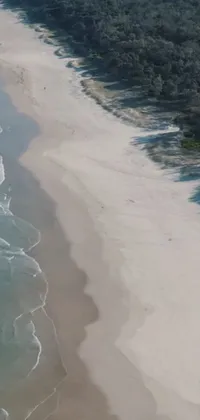 This phone live wallpaper showcases a mesmerizing view of a crystal-clear water body, bordering a beautiful sandy beach