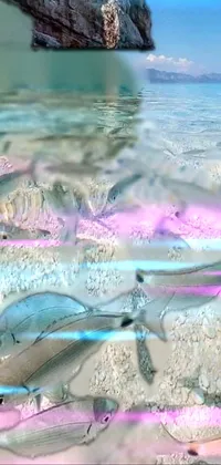 Water Azure Body Of Water Live Wallpaper