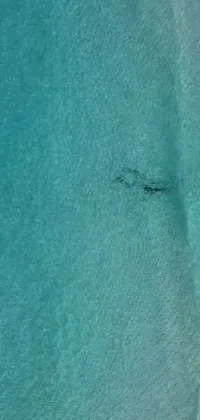 This phone live wallpaper features a breathtaking aerial shot of a stunning beach and pristine turquoise waters