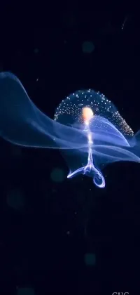 This live phone wallpaper features a mesmerizing jellyfish floating against a dark background