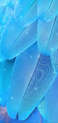 Water Azure Textile Live Wallpaper
