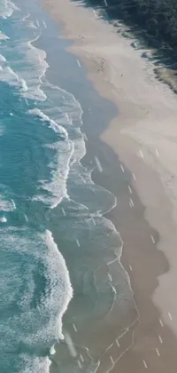 This stunning live phone wallpaper features a serene South African coastline with a breathtaking body of blue-green water and golden sandy beach