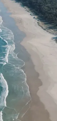 This phone live wallpaper features a realistic coastal scene with a vast body of water and a sandy beach