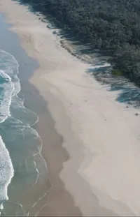 Water Beach Coastal And Oceanic Landforms Live Wallpaper