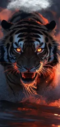 animated tiger wallpapers