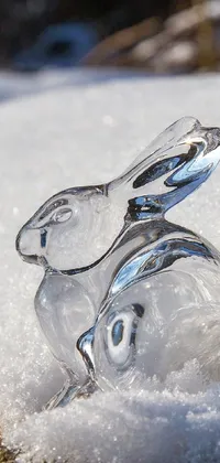 This phone live wallpaper features a stunning image of glasses placed on a pile of snow with a intricate rabbit design in the middle