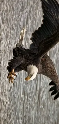 Experience the awe-inspiring beauty of nature with this stunning photorealistic live wallpaper of a bald eagle in action