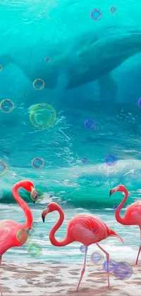 This phone live wallpaper boasts a breathtaking painting of flamingos strutting along a sandy beach, complete with vibrant hot pink and cyan colors