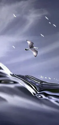 Water Bird Cloud Live Wallpaper
