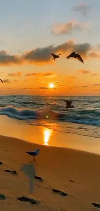 Enjoy the beauty of nature with this stunning live wallpaper for your phone