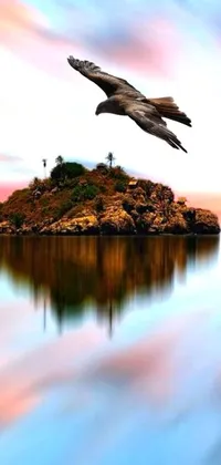 This phone live wallpaper showcases an awe-inspiring bird flying over a scenic rocky island mirrored in the tranquil water