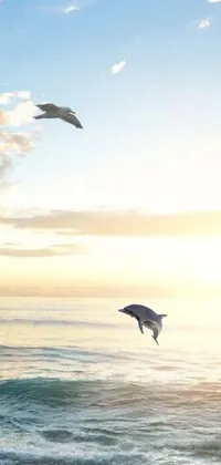 This lively phone wallpaper displays two dolphins leaping from the ocean waves in stunning natural detail