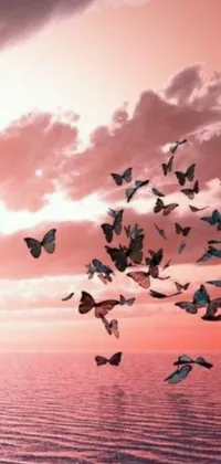 This phone live wallpaper consists of a picturesque scene of a flock of birds flying over a body of water, enhanced with a romantic photo and whimsical butterflies flying in the sky
