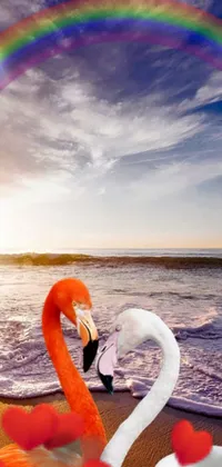 Get lost in a tropical paradise with our Flamingo Sunset live wallpaper! Featuring two majestic flamingos standing on a sandy beach, this picturesque artwork captures the romantic essence of a beach sunset