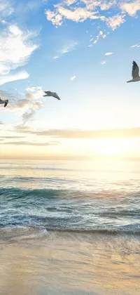 This live phone wallpaper showcases the natural beauty of a sun-drenched beach, complete with gentle waves and flying birds
