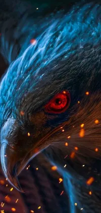 This phone live wallpaper displays a striking bird of prey with intense red eyes set against a backdrop of vibrant blue and red colors