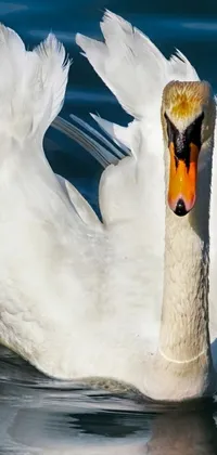 Water Bird Fluid Live Wallpaper