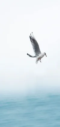 This live wallpaper is a serene and minimalistic design depicting a bird gracefully flying over a calm body of water