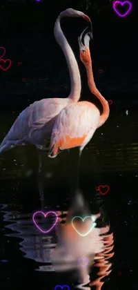 This phone live wallpaper features a serene pond where two flamingos stand amongst lush green foliage