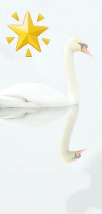 Looking for a phone background that's both serene and visually striking? Look no further than this stunning live wallpaper featuring a white swan floating on a shimmering body of water