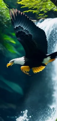 Water Bird Nature Live Wallpaper