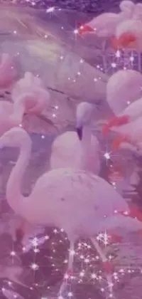 This phone live wallpaper features a flock of flamingos standing in water in a serene environment