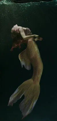 This phone live wallpaper features an enchanting and realistic underwater scene