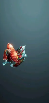 This phone live wallpaper features an ultra-realistic, digitally painted red fish floating gracefully in the water