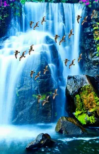 Water Bird World Live Wallpaper
