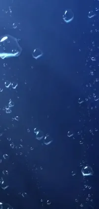 This mobile live wallpaper features a mesmerizing video still of bubbles floating over a deep blue ocean with a light rain in the background