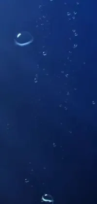 This phone wallpaper showcases a serene video art of bubbles floating on a blue surface inspired by the Mariana Trench's open ocean and low pressure system