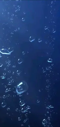 Looking for a stunning phone live wallpaper that will transport you to an underwater paradise? Look no further than this amazing creation featuring bubbles floating on a blue surface with deep sea ambience