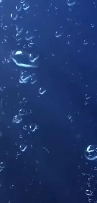 This live phone wallpaper features bubbles floating above a blue surface against a nature-based background