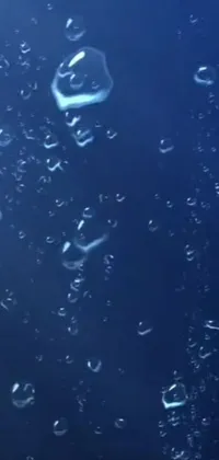 Get lost in the calming ocean depths with this enchanting phone live wallpaper featuring a mesmerizing group of bubbles floating atop a serene blue surface