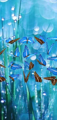 This stunning live wallpaper for your phone features digital art of a group of butterflies in flight against a backdrop of blue drips and an underwater glittering river, providing a calming and enchanting setting