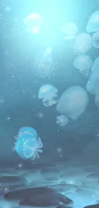 Experience the serenity of the ocean with this stunning live wallpaper for your phone