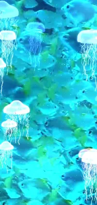 Water Blue Green Live Wallpaper
