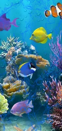 Water Blue Underwater Live Wallpaper