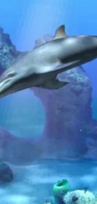 This phone live wallpaper showcases two dolphins swimming gracefully in an oceanic setting, inspired by the lost city of Atlantis