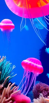 This dynamic live wallpaper depicts a stunning image of a group of jellyfish swimming gracefully in an aquarium