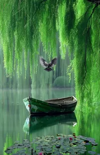 Water Boat Green Live Wallpaper
