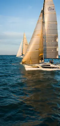 clw_1675947602446 Live Wallpaper