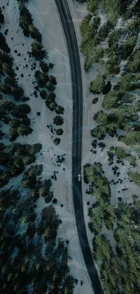 This phone live wallpaper shows a mesmerizing scene of a car driving through a forest on a scenic road in California