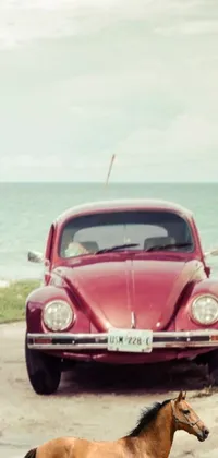 Download this unique live phone wallpaper with a brown horse and red Beetle parked on a picturesque beach