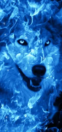 Get ready for an amazing visual experience with this phone live wallpaper! Featuring a majestic wolf in exquisite digital art detail, this close-up image emerges from mesmerizing blue fire against a black backdrop