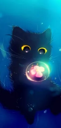 This phone live wallpaper features a stunning image of a black cat sitting on a blue surface