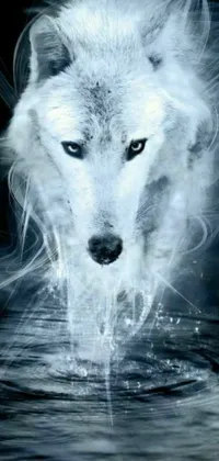 Get lost in the magic of this stunning live wallpaper featuring a white wolf wandering across a misty body of water
