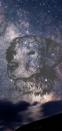 This live phone wallpaper features a photorealistic image of a curious dog gazing up at a stunning night sky filled with intricate space art